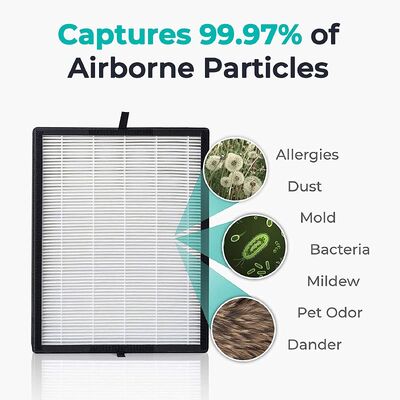 Filtre à air industriel de nid d'abeilles d'humidité/filtre charbon actif HEPA